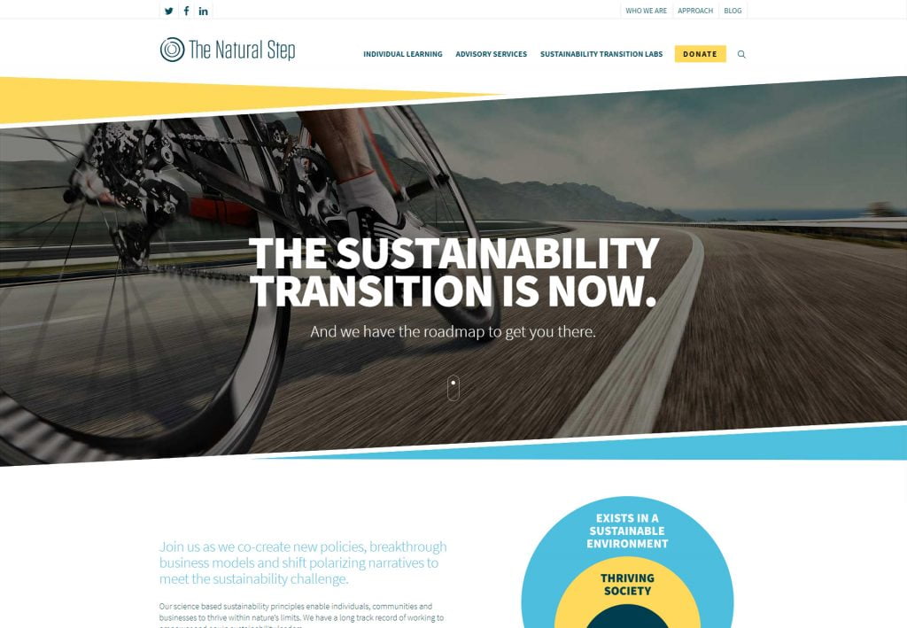 Página inicio wordpress Alliter