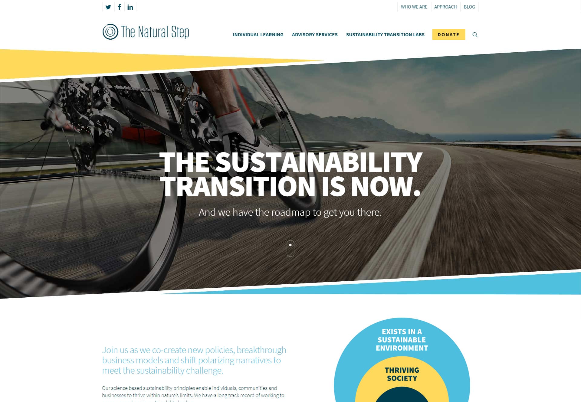 Página inicio wordpress Alliter